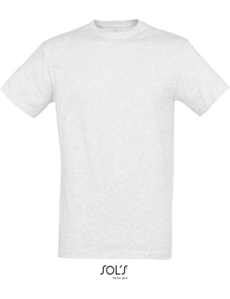 Herren-T-Shirt – Regent – Ash 3XL