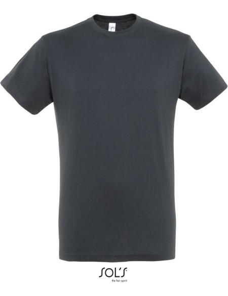 Herren T-Shirt - Regent - Mausgrau S