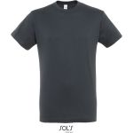 Herren T-Shirt - Regent - Mausgrau L